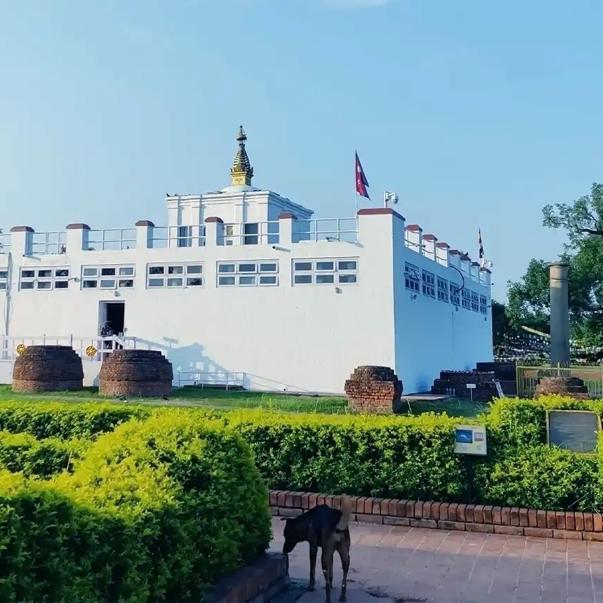 Tour In Nepal