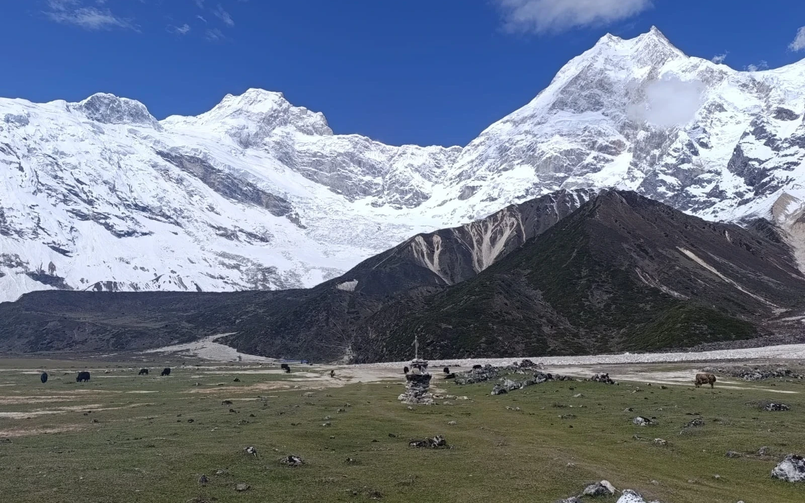 Manaslu Conservation Area: Complete Guide to Nepal's Hidden Himalayan Paradise