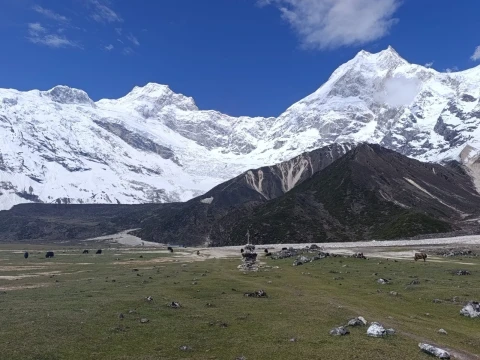 Manaslu Conservation Area: Complete Guide to Nepal's Hidden Himalayan Paradise