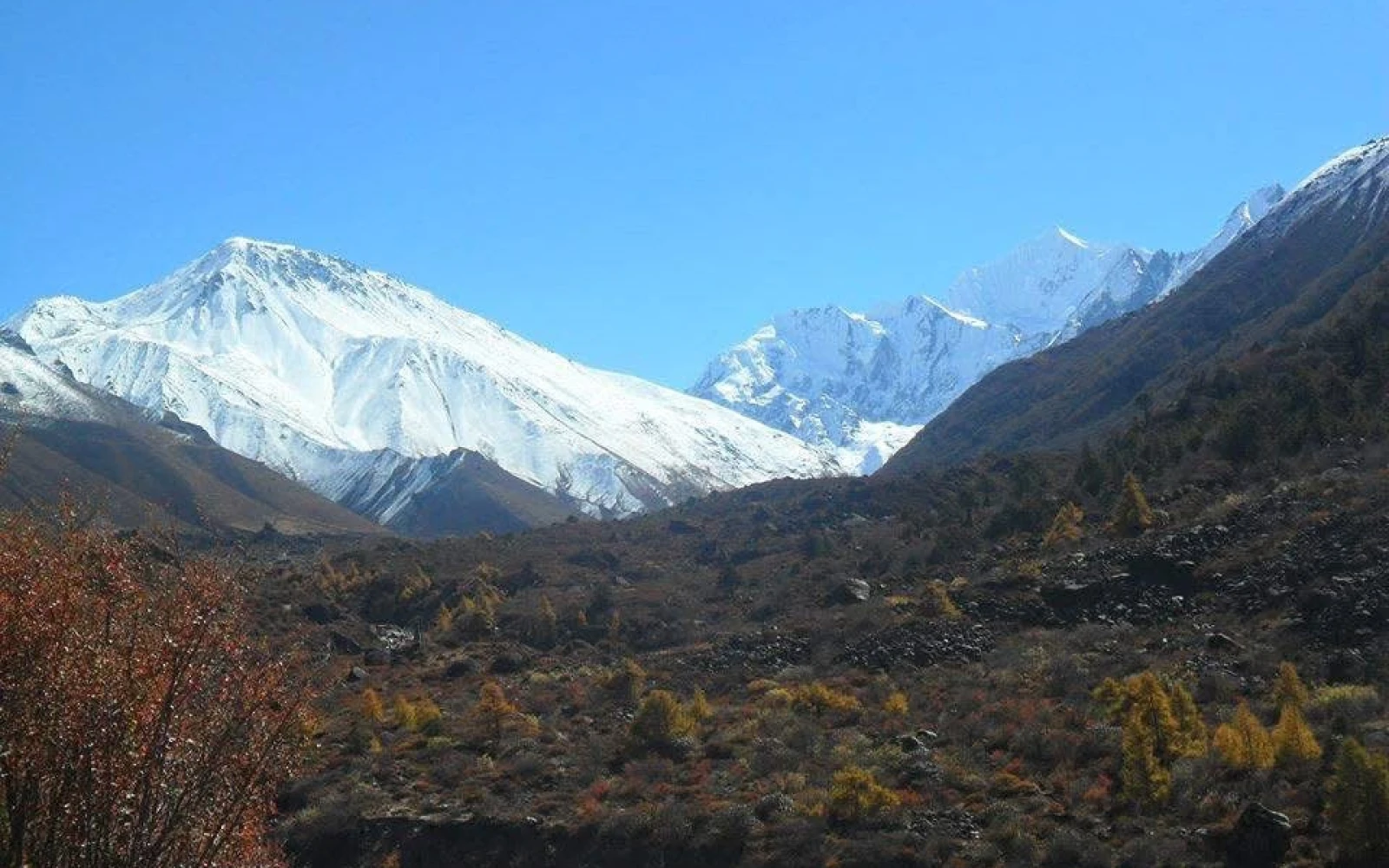 Best Things to Do in Kyanjin Gompa: Complete Travel Guide (2026)
