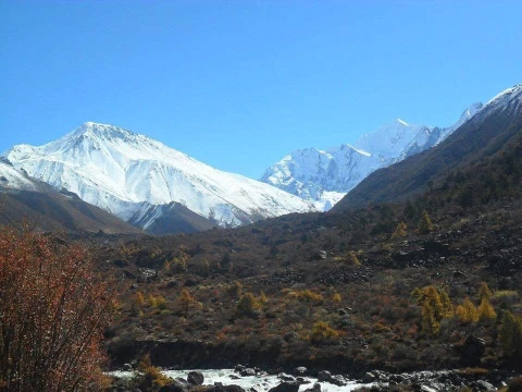 Best Things to Do in Kyanjin Gompa: Complete Travel Guide (2026)