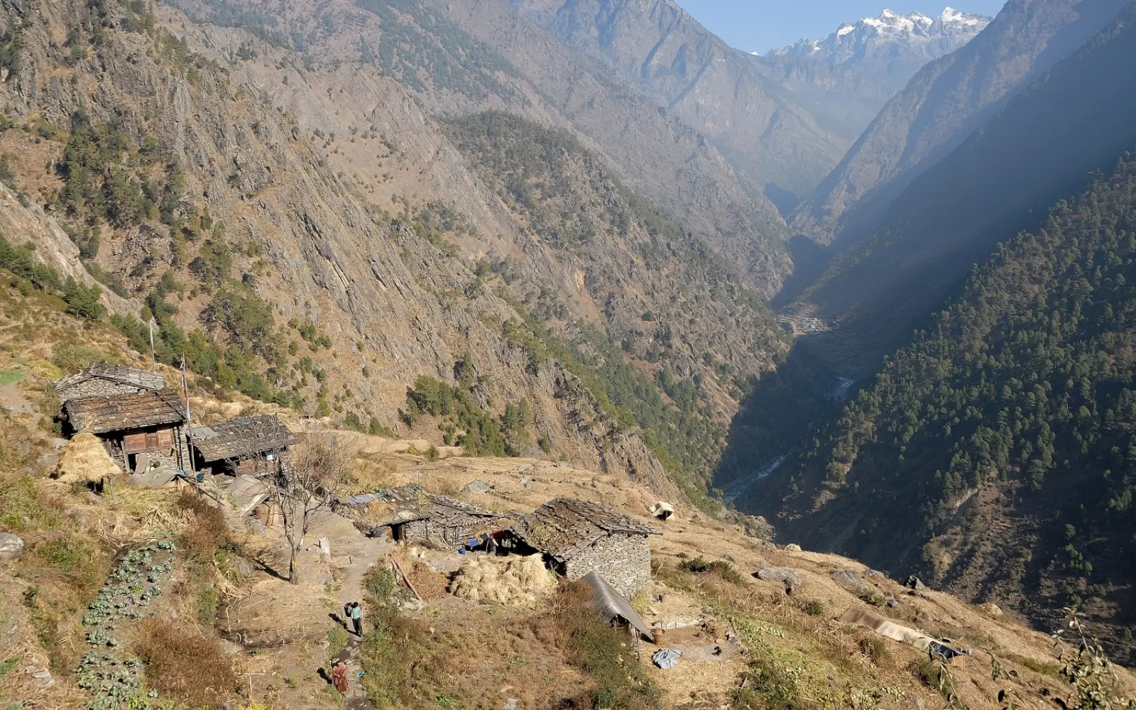 Tamang Heritage Trek: Complete Guide, Itinerary & Cost