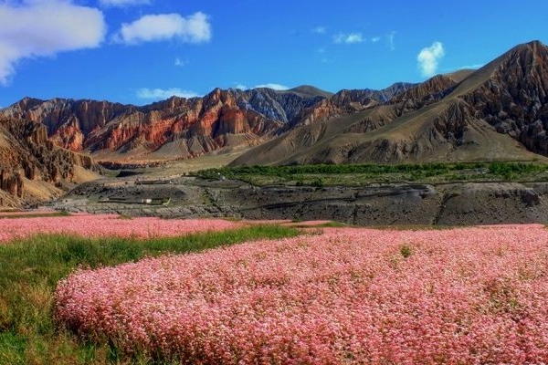 Lower Mustang Trek