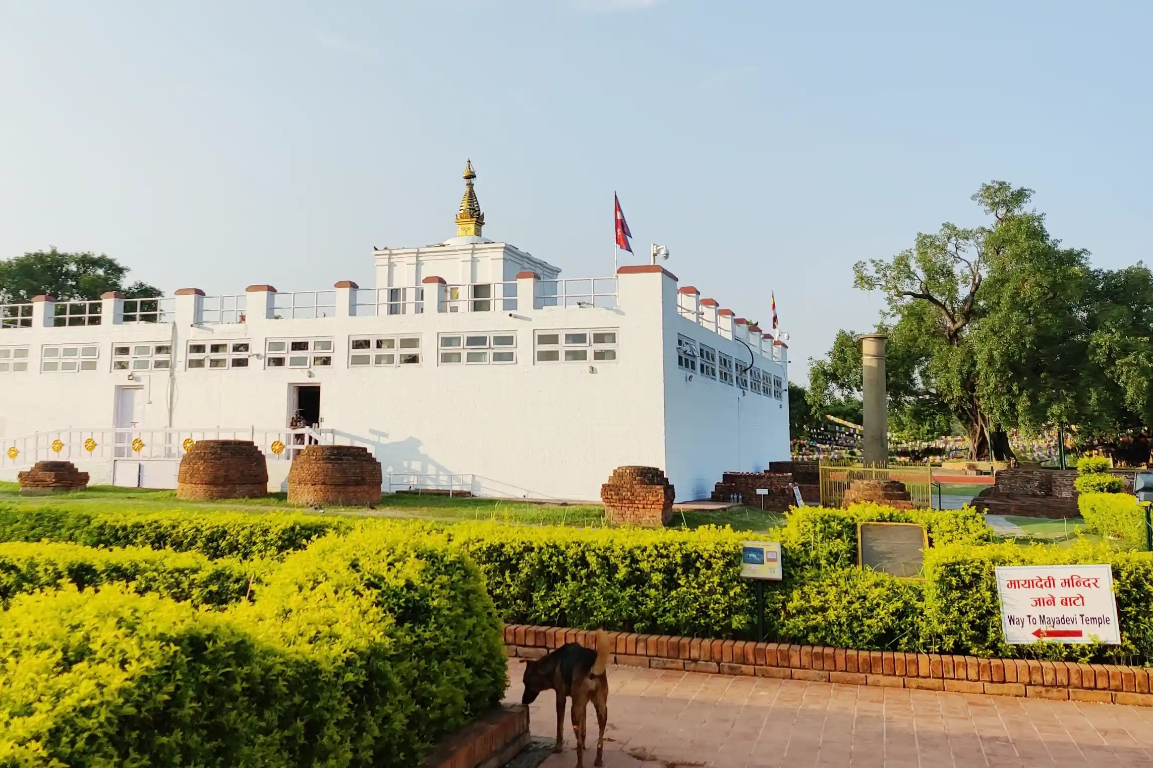 Kathmandu Pokhara Lumbini Chitwan Tour