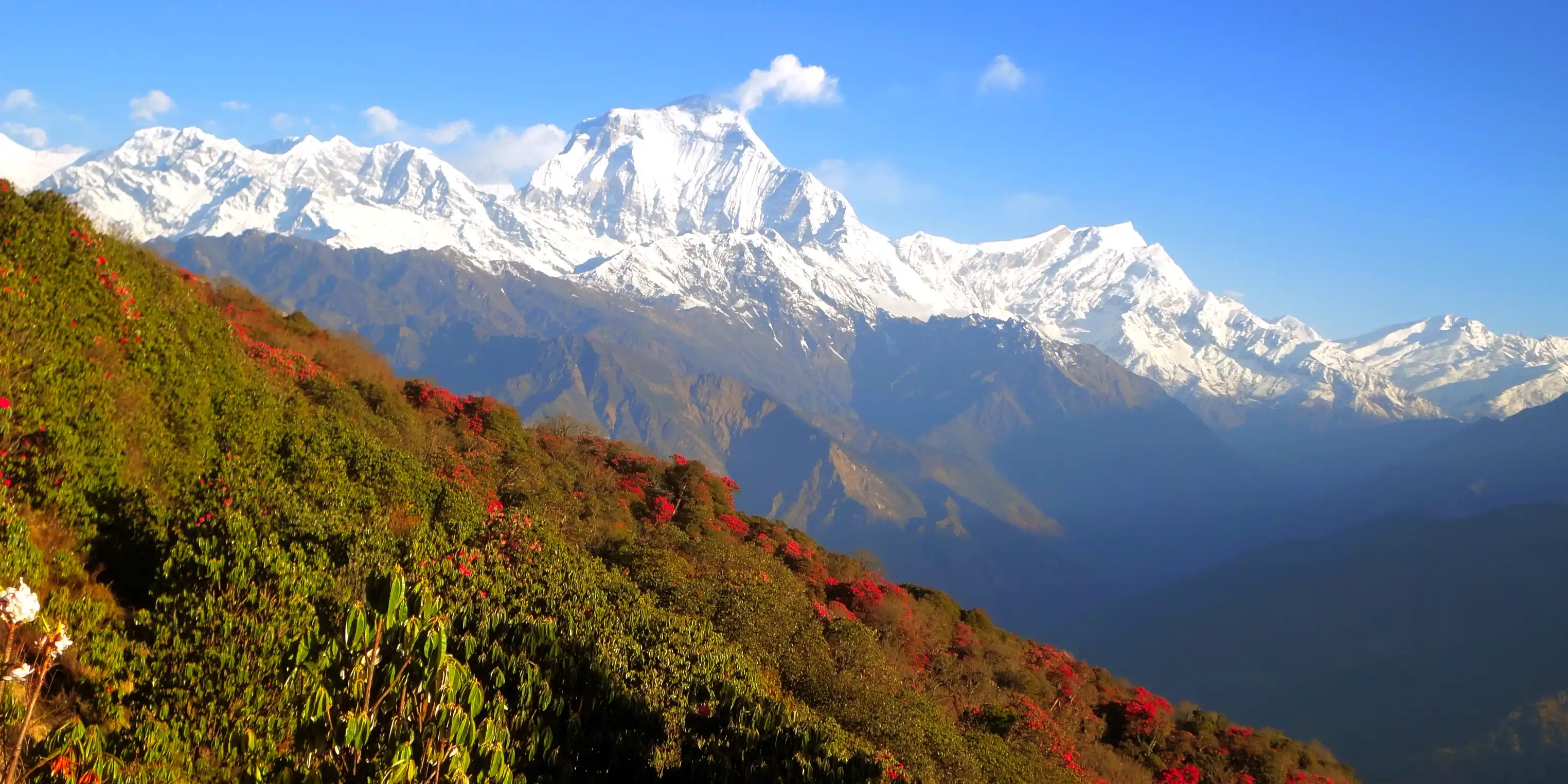 Dhaulagiri Circuit Trek